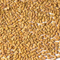 Bockshornklee ganz 100g