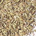 Fenchel grün ganz süßlich 100g