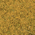 Koriander - Minz Curry 100g