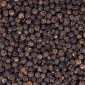 Penja Pfeffer - Rarität aus Kamerun 50g