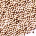 Pfefferkörner weiß handgepflückt Muntok PERLE 100g