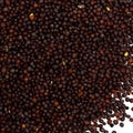 Senfkörner braun/schwarz ganz 100g